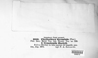Image Associated With the Occurence